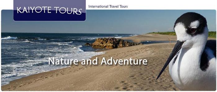 Bocas Del Toro Birding Tour Bocas Del Toro Birding Tour